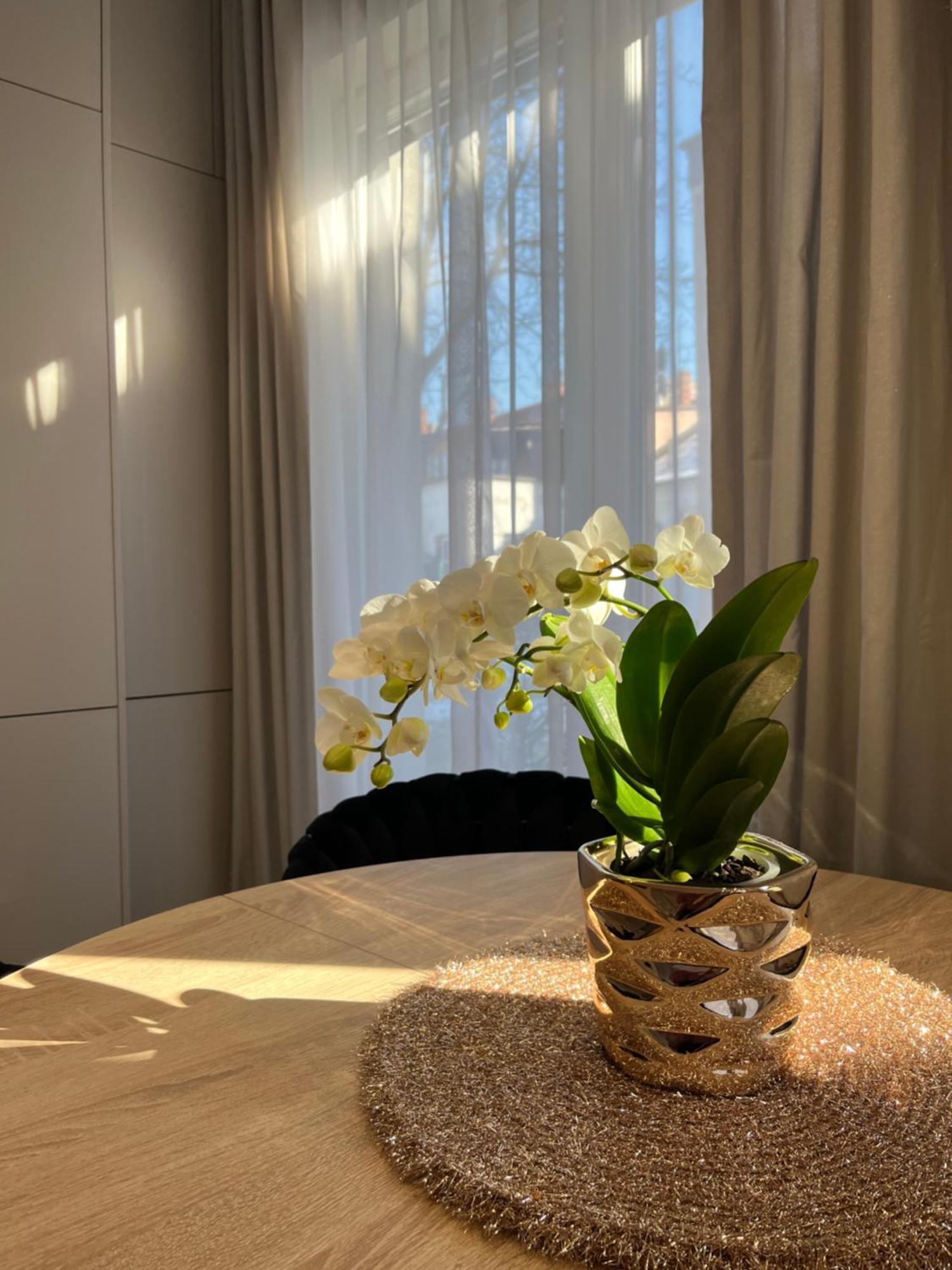 Apartament Kaszmirowy Бельско-Бяла Экстерьер фото
